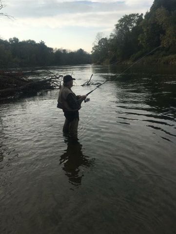 1306 N Tippy Dam Road, Wellston, MI 49689