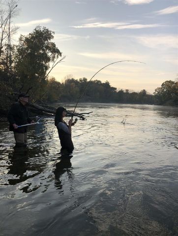 1306 N Tippy Dam Road, Wellston, MI 49689