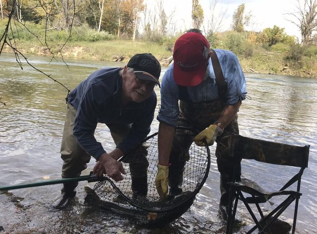 1306 N Tippy Dam Road, Wellston, MI 49689