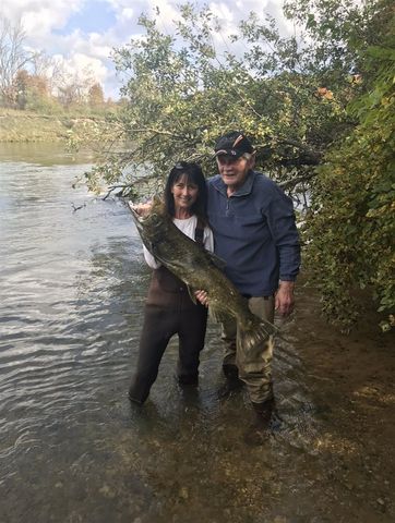 1306 N Tippy Dam Road, Wellston, MI 49689