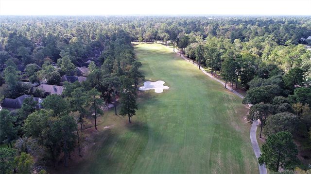 3 Gingerwilde Place, The Woodlands, TX 77381
