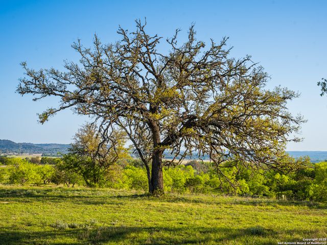 LOT20 Oak Mott Rd, Comfort, TX 78013