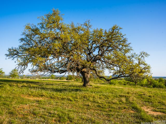 LOT20 Oak Mott Rd, Comfort, TX 78013