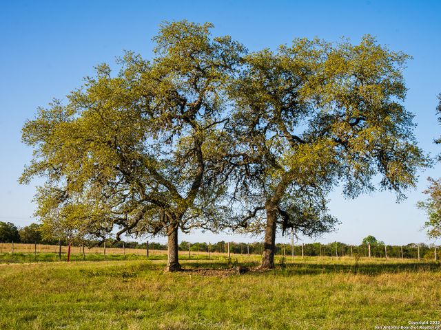 LOT20 Oak Mott Rd, Comfort, TX 78013