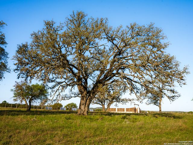 LOT20 Oak Mott Rd, Comfort, TX 78013