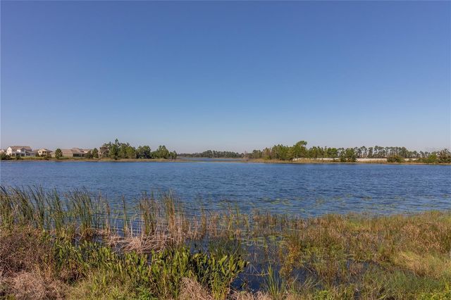 16507 OUTTER GROVE ALLEY, Winter Garden, FL 34787