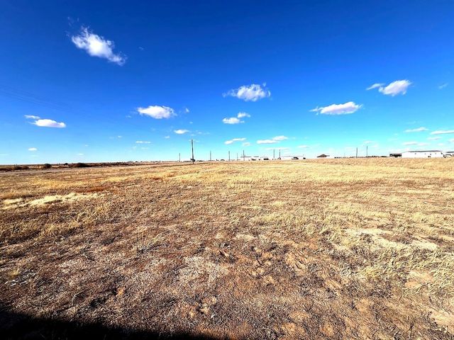 6901 Pr Henry, Shallowater, TX 79363