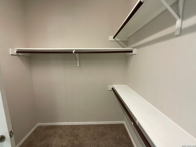 12422 Red Maple, San Antonio, TX 78253