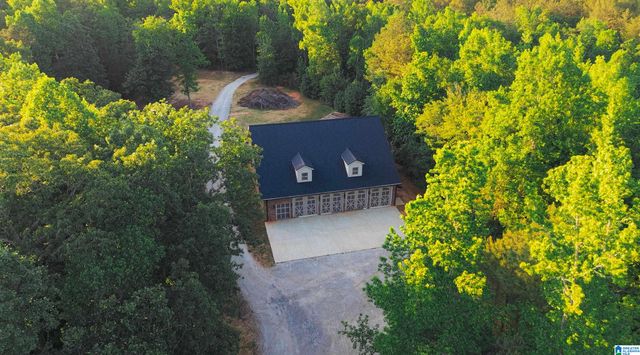 12699 COUNTY ROAD 66, Heflin, AL 36264