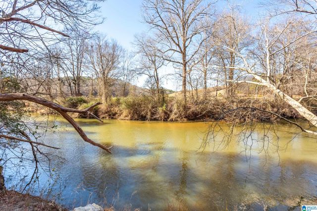 12699 COUNTY ROAD 66, Heflin, AL 36264