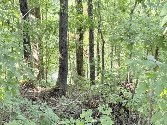 1416 Prather Drive, Nancy, KY 42544