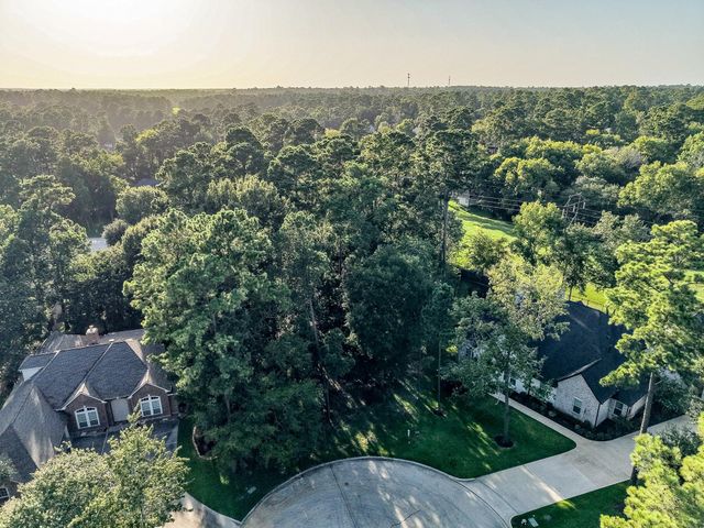 15 Brookwood Court, Montgomery, TX 77356