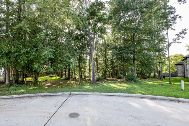 15 Brookwood Court, Montgomery, TX 77356