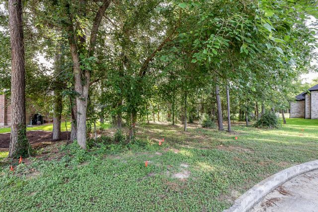 15 Brookwood Court, Montgomery, TX 77356