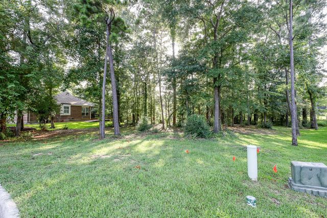 15 Brookwood Court, Montgomery, TX 77356