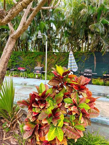 1450 Atlantic Shores Blvd 209, Hallandale Beach, FL 33009