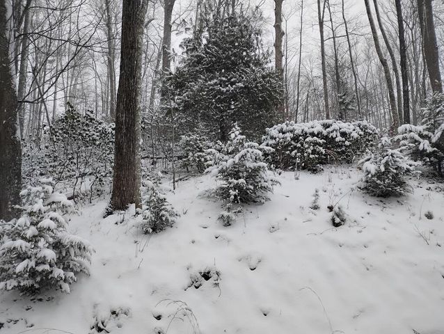 799 Cherokee Oaks Road, Murphy, NC 28906