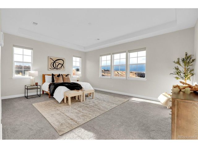 5125 Hickory Oaks St, Castle Rock, CO 80104