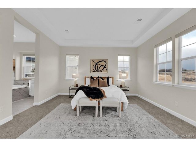 5125 Hickory Oaks St, Castle Rock, CO 80104