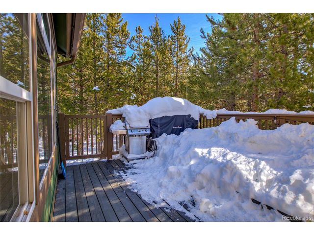 308 Red Hawk Cir, Silverthorne, CO 80498