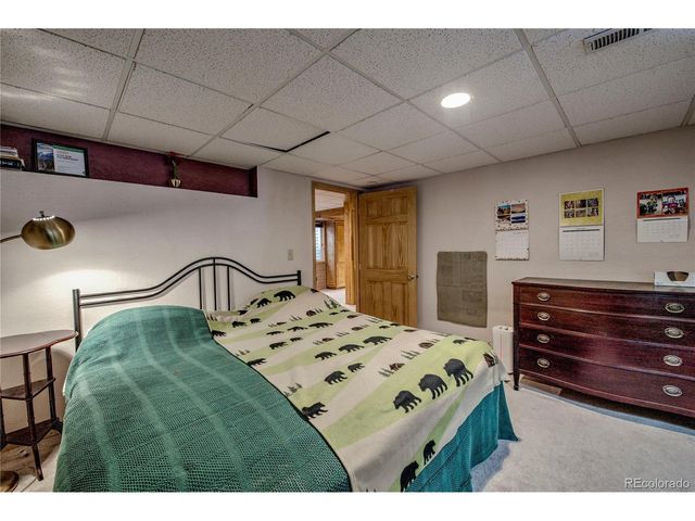 308 Red Hawk Cir, Silverthorne, CO 80498