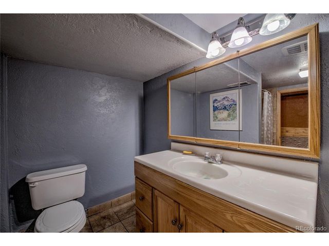 308 Red Hawk Cir, Silverthorne, CO 80498