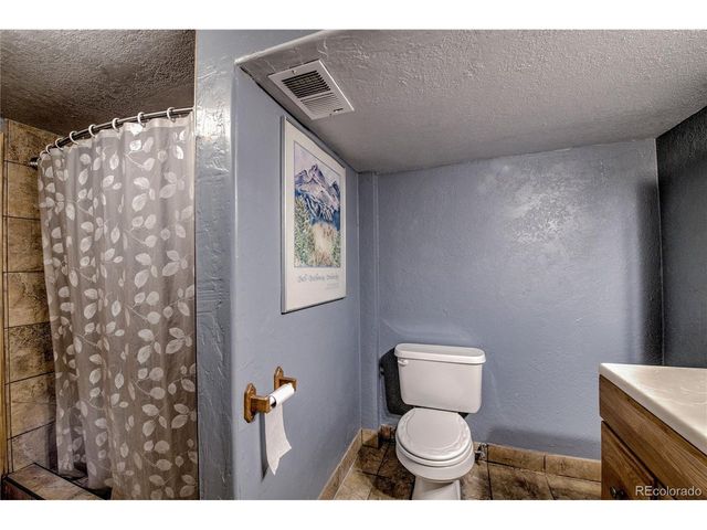 308 Red Hawk Cir, Silverthorne, CO 80498