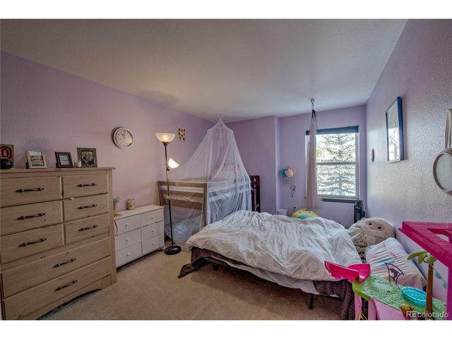 308 Red Hawk Cir, Silverthorne, CO 80498