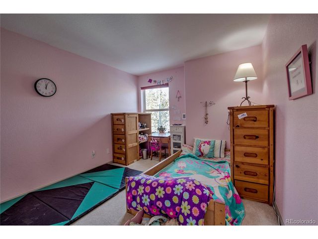 308 Red Hawk Cir, Silverthorne, CO 80498