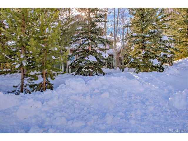 308 Red Hawk Cir, Silverthorne, CO 80498
