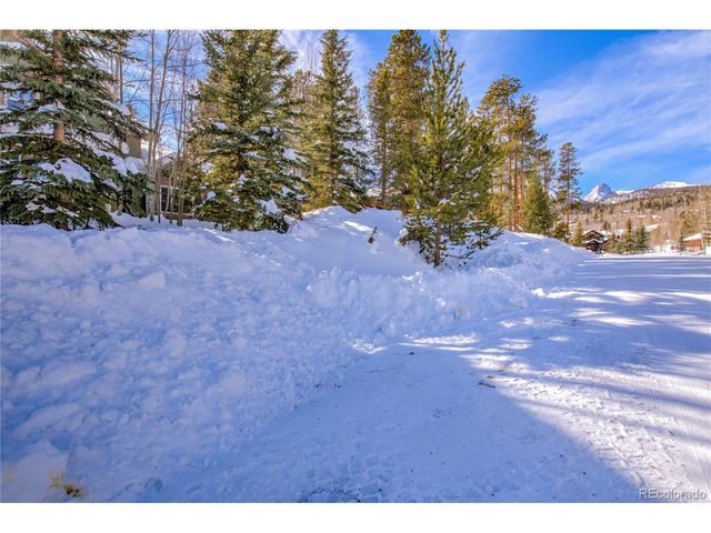 308 Red Hawk Cir, Silverthorne, CO 80498