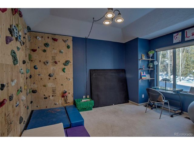 308 Red Hawk Cir, Silverthorne, CO 80498