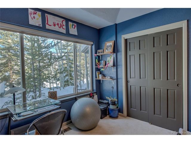 308 Red Hawk Cir, Silverthorne, CO 80498