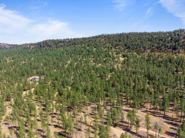00 N MATHIAS Ln, Nine Mile Falls, WA 99026
