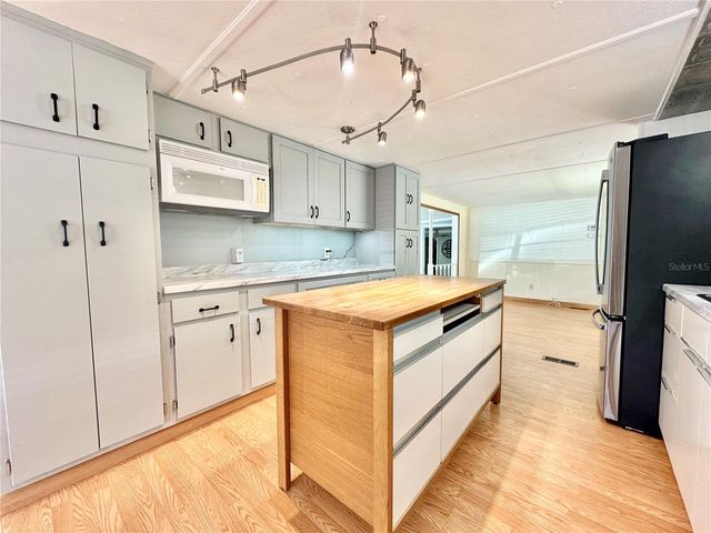 522 TAMMI DRIVE, Leesburg, FL 34788