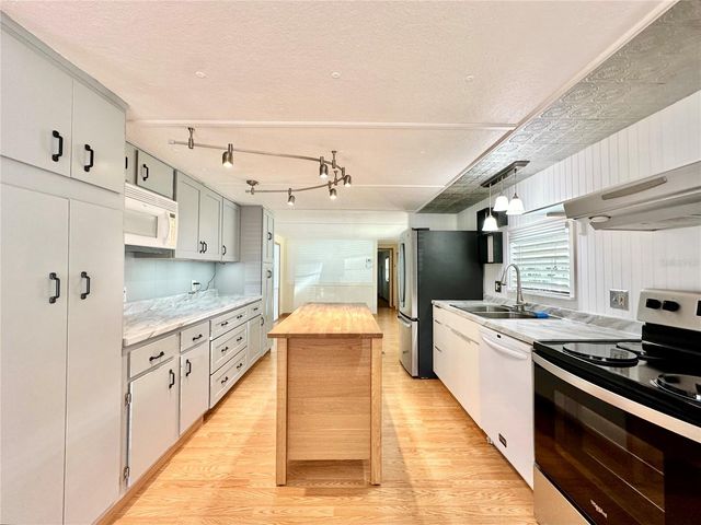 522 TAMMI DRIVE, Leesburg, FL 34788