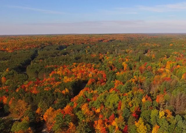 6671 Woodcock Court, Gaylord, MI 49735