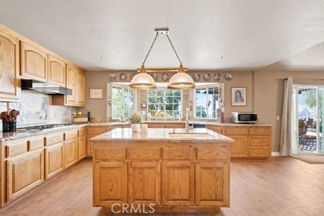 9722 Hierba, Agua Dulce, CA 91390