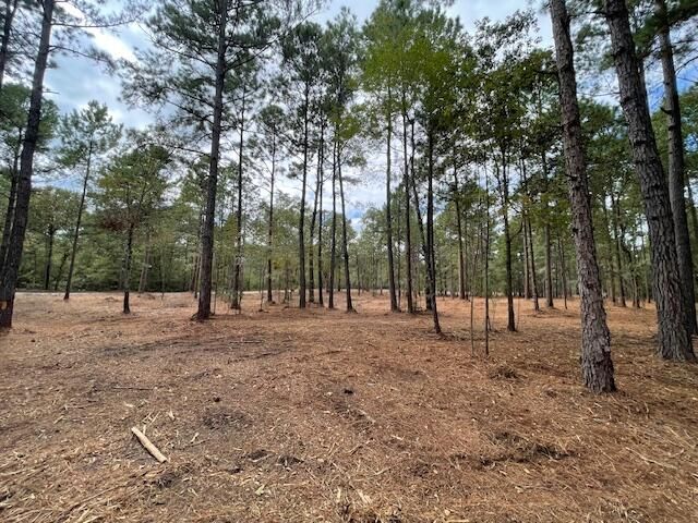 0 Hwy 45, Cross, SC 29436