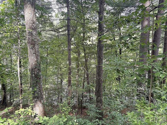 000 Toms Park Circle 66, Hendersonville, NC 28792