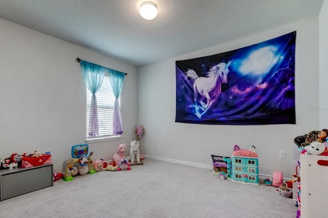 906 SWAYING SAWGRASS AVENUE, Ruskin, FL 33570