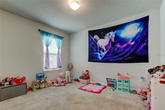 906 SWAYING SAWGRASS AVENUE, Ruskin, FL 33570