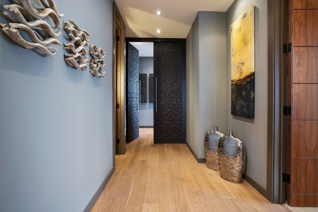 175 E Delaware Place 9210, Chicago, IL 60611