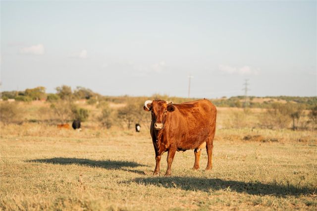 247 E Fm 581 Highway, Lometa, TX 76853