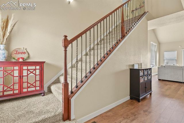 6776 Red Cardinal Loop, Colorado Springs, CO 80908