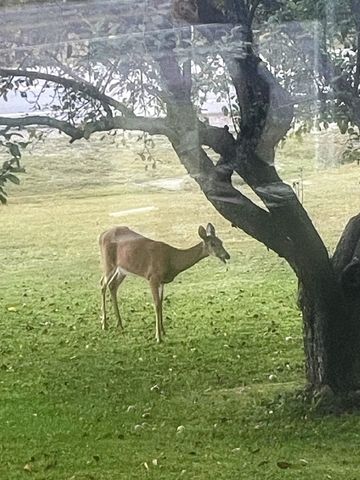 819 Eastside Road, Woodstock, NH 03262