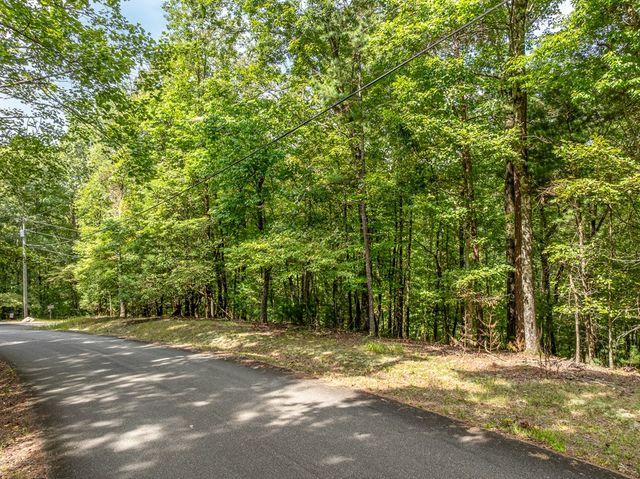 Lot 272 Seneca Drive, Ellijay, GA 30540