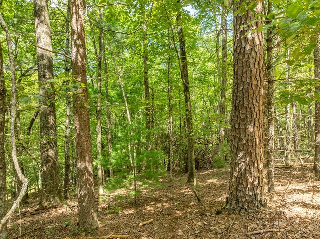 Lot 272 Seneca Drive, Ellijay, GA 30540