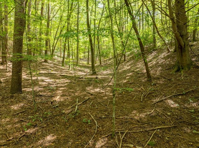 Lot 272 Seneca Drive, Ellijay, GA 30540