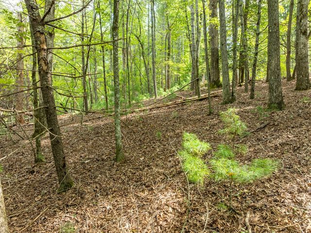 Lot 272 Seneca Drive, Ellijay, GA 30540